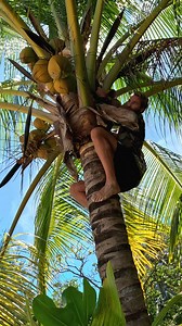 Island Snacks 🤤 | Strick & Fran