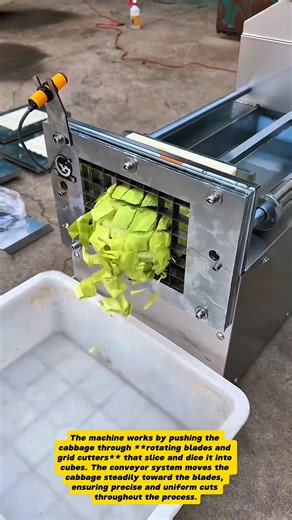 Automatic Cabbage Dicing Machine – High Efficiency Vegetable Cutter for Food Industry