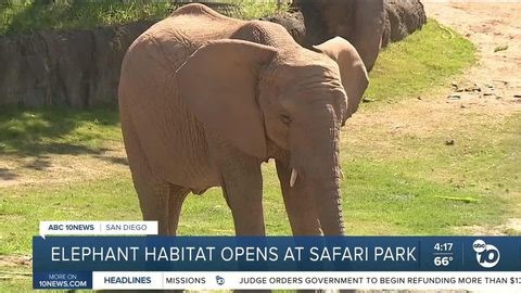 San Diego Zoo Safari Park in Escondido opens Denny Sanford Elephant Valley | Haystack News