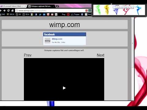 How to download Wimp.com videos