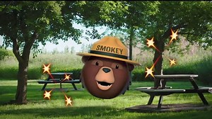 Smokey Bear Campaign TV Spot, 'Prevenir incendios'
