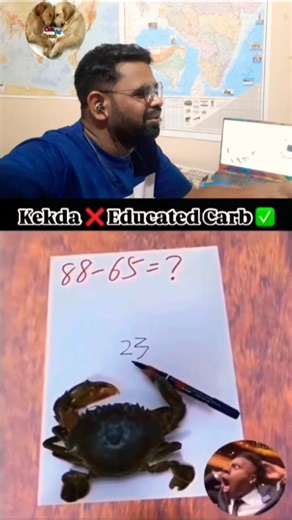 Kekda ❌ Educated Crabs ✅ #shorts #ytshorts #youtubeshorts #newshorts #pets #animals #memes #viral