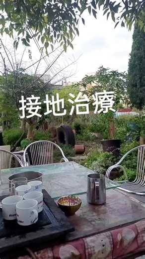 修心大師探索凡聖淨土與普周法界