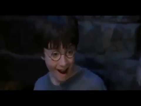 Harry Potter "You're A Faggot"