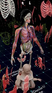 Unveiling the Human Design | The Female Body Explained 🧠🫁🩺 . . . Explore the hidden masterpiece of the female human body — from muscles and vessels to the organs that sustain life. A full 3D journey showing the anatomy of creation, revealing how every structure connects to form the miracle of life. . . #anatomy #anatomía #anatomi #anatomia #pregnancy #baby #heart #pregnancy #pregnant #baby #medicina #doctor #माहवारी #月経 #임신 #妊娠 #gravidez #fetal #love #shorts #viral #Childbirth #uterus #Reprod