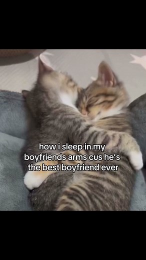 the best boyfriend ever 😿💗 #couple #relationship #bf #boyfriend #gf #girlfriend #cat #kitty #meow #iloveyou