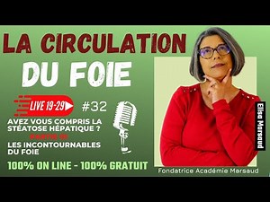 La circulation du foie