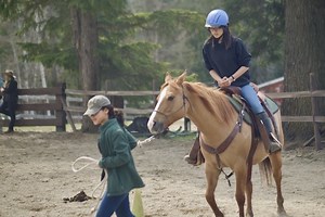 Equine Therapy for Teen Girls | Clearview's Path to Healthy Growth