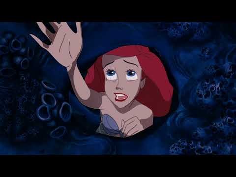 🫧🌊🏖️🐬🦀🪼