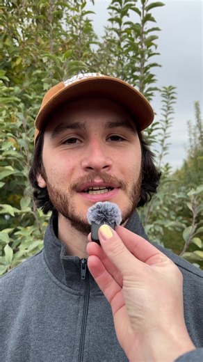 Nothing beats the sounds of an apple orchard... except maybe the taste of an apple right off the tree!! 🍎🌱 We had a fabulous time touring the Opal and Fuji orchards at @firstfruits_farms a few weeks ago! Surrounded by one of the largest, continuous apple orchards in the country, all we could hear was the delicious crunching and munching of everyone enjoying fresh, juicy apples. New crop opal apples (011-01112) and fuji apples (011-01926) are available now! What's your favorite apple? 🍏🍎 #cul
