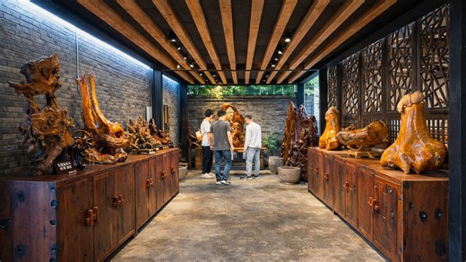 People exploring artistic wood sculptures in a modern display room