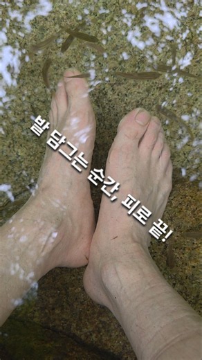 대야산 계곡에서 만난 최고의 힐링
