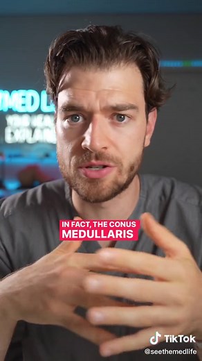 Understanding the Lumbar Puncture Procedure