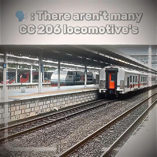 Realy?🤨 || Funk Criminal || IB : ​⁠@FRFD6 & ‪@UDDIN_RAILFANS13‬ |