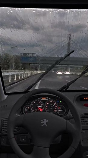 Peugeot 206 RC Revolutionizes Your Driving Experience