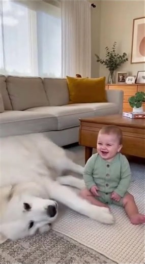 The dog howls like a wolf, and the baby laughs happily🥰#cute #shorts #funny