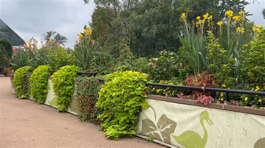 ✨ There’s beauty around every corner at Como ✨ Visit us daily from 10am – 4pm and soak in the magic of the Zoo & Conservatory. Feeling adventurous? 🕵️‍♀️Join us for Como Quest on Friday, October 17—a fun scavenger hunt that lets you experience Como without the crowds! 🎟️ Get your tickets today: https://comofriends.org/events/como-quest/ | Como Park Zoo & Conservatory