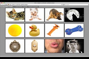 Pet Video Chat: Monitoring and Interacting with Dogs over Distance