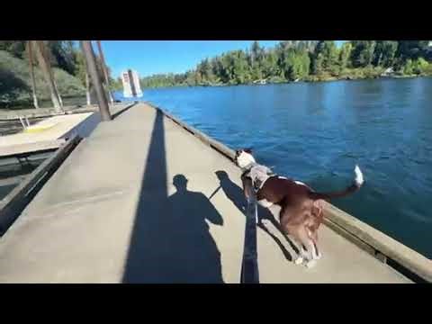 Video of Champoeg State Heritage Area Campground, OR from TheFoxphire F.