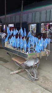 The Somali flag appears in the video. The design of the Somali flag was designed by Mohamed Awale Liban and there is no other flag for Somalia. يظهر علم الصومال في الفيديو. تصميم العلم الصومالي من تصميم محمد عوالي ليبان ولا يوجد علم آخر للصومال. | Reyxaan TV