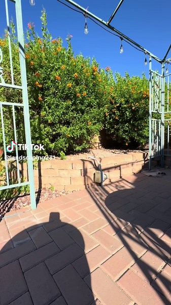 Yarderos: Strength and Culture in Mexican Tradition