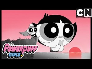15 Minutos De Fama | As Meninas Superpoderosas | Cartoon Network