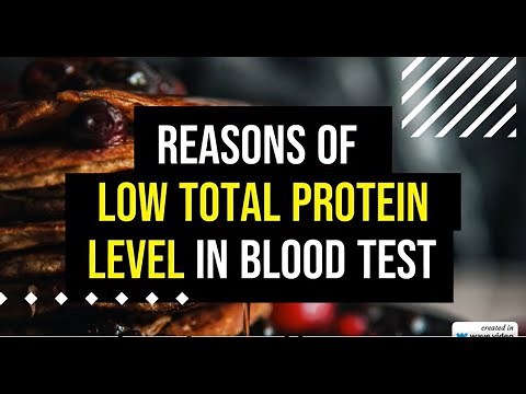 Reasons of Low Total Protein Level In Blood Test