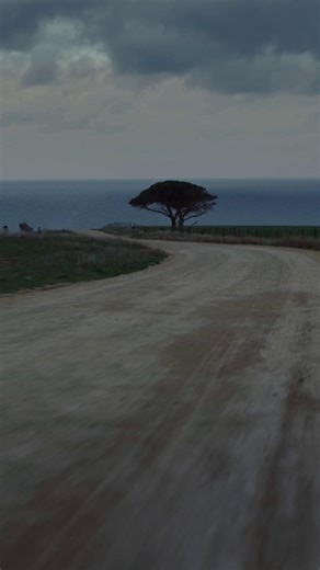 9.4K views · 218 reactions | Adventure is everywhere with the new 2.2L D-MAX  Boasting a new 2.2L engine and 8-speed automatic transmission, the new range will get you to the roads less travelled with confidence. Hit the link in our bio to learn more or head to your local dealership to book a test drive. | Isuzu UTE Australia | Facebook