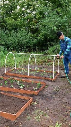 3 Simple garden hacks that really work🌿 #gardening #plants #hacks