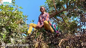 📊 Graphs ended in tears 😭 Mungwimba and Mugwagwa are bad news 🤔 Affordable and Original phones, laptops and other accessories can only be found in Mobile Champion 👆👆 Follow us on our page or Call us on 260 97 4504982 | Lucky's- comedy