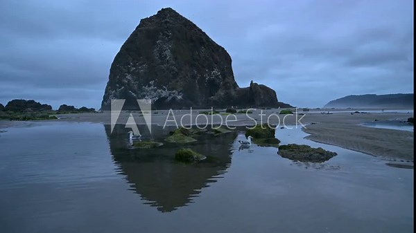 Birds near Haystack Rock, one of Oregon's most recognizable landmarks.Haystack Rock is part of the Oregon Islands National Wildlife Refuge and is a State protected marine environment.