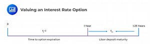 Black Model Valuation of Interest Rate Options and Swaptions - CFA, FRM, and Actuarial Exams Study Notes