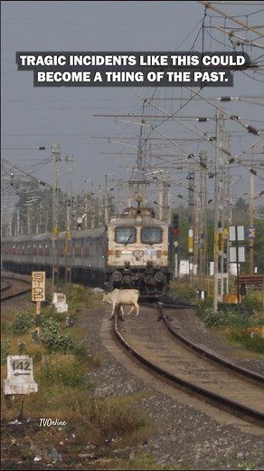 End of Tragic Train Cow Accidents? #indianrailways #trainaccidents #shorts
