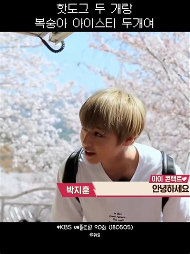 #박지훈 안녕하세여 핫도그 두개랑 복숭아 아이스티 두개여~