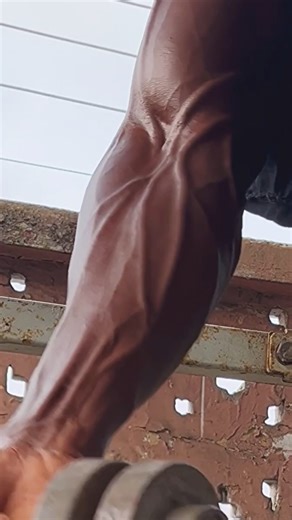 DYNAMIS 2… on Instagram: "4 No-Equipment Upper Body 💪🏾Moves for BEGINNERS Save this and try LATER!🔥 The most difficult thing is the decision to act,the rest is merely tenacity.Lose Fat/Build Muscle Shoot 👉me a message and let’s WIN! Merry Christmas 🎄 ————————————————————————————— #workout #viral #repost #trendingreels #instagram #fitness #fit #fyp #exercise #homeworkout #trend #viralvideos #instafit #repost #likeslikes #personaltrainer #aesthetic #training"