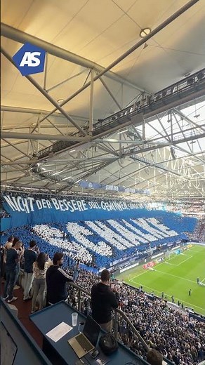 Überragende Schalke-Choreo gegen Bayern!