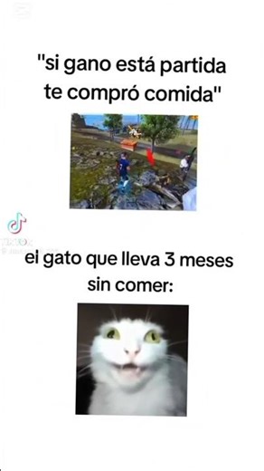 puro flow insano #freefire #garenafreefire