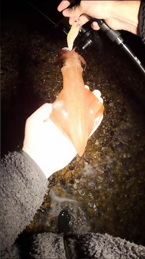 Catching and EATING these Aliens 🎣🦑🤯