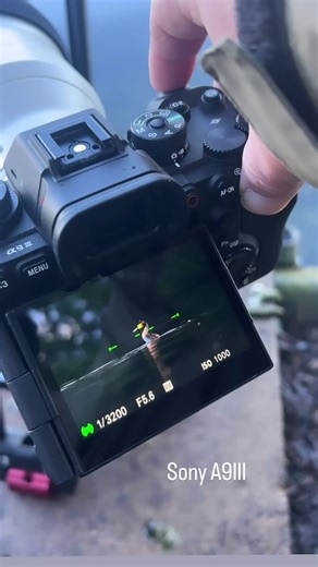 Sony A9III Test at 120fps: Review and Shutter Test