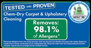 Salt Lake City Carpet Cleaning Services | Precision Chem-Dry