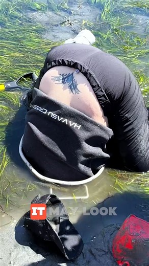 21K views · 53 reactions | This Shellfish Hides Deep Underground ...