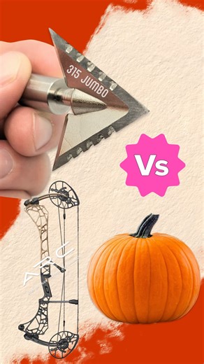 @bishoparchery Jumbo 315 gn out of the new ARC by Mathews. It’s pumpkin time | BowHunterPlanet.com
