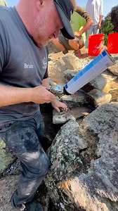 38K views · 1K reactions | Creating waterfalls is a work of art  #team #aquascape #protip #tip #waterfall #waterfalls #pond #pondbuilding #construction #create #build #rock #art #backyard #inspiration #garden | Team Aquascape | Facebook