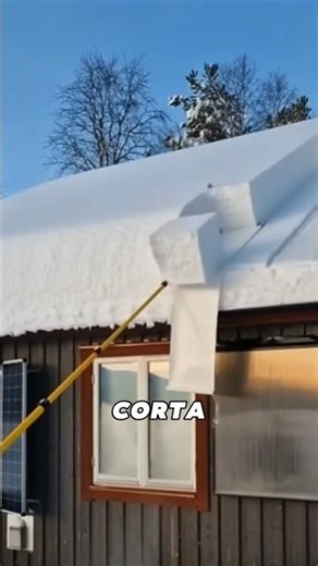 Why Do People Throw Snow Off Their Roofs?
