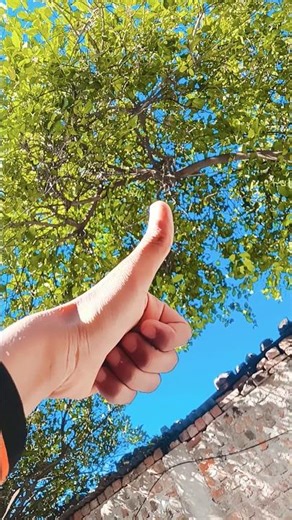 😁😁#viral #facts #funny #explore #factshorts #fun #kids #explore #instagood #intragram #explorefeed ✅