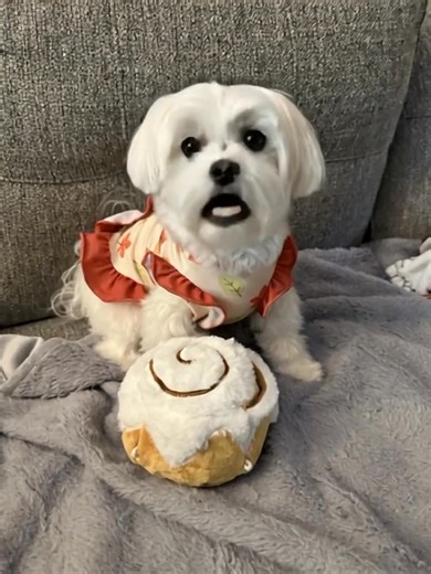 28K views · 2.1K reactions | I told Crazy Mommy — she’s on the...