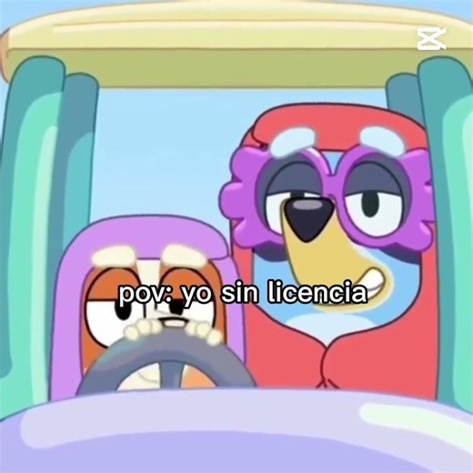 yo sin licencia 😂😂😂 #carros