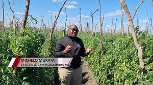 [WATCH] CEEC Chats in Chisamba district #CEEC #agribusiness #Zambia #Entrepreneurship | Citizens Economic Empowerment Commission - CEEC