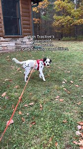 7.4K views · 38 reactions | The world's most trusted tracker for pets  Track live location  Get health alerts 喙 Monitor activity and sleep  Get peace of mind 易 | Tractive | Facebook