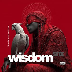 The Beauty in the Pain - SNX: Song Lyrics, Music Videos & Concerts